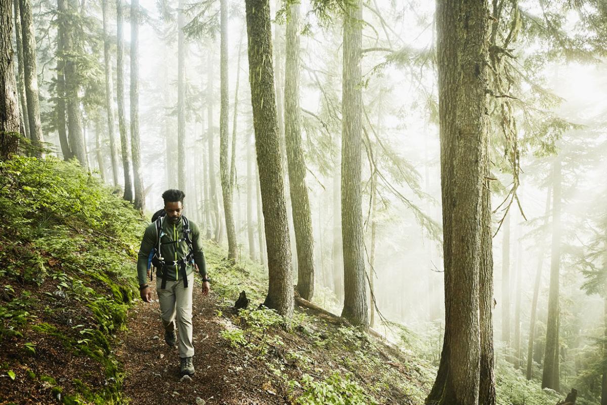 Person hiking the woods