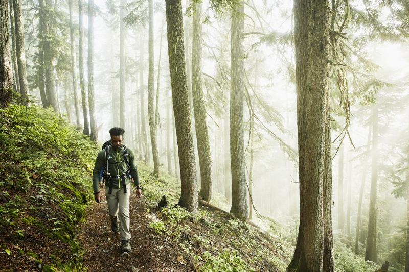 Person hiking the woods