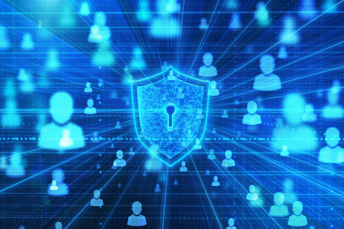 Security shield in the flow of a digital network